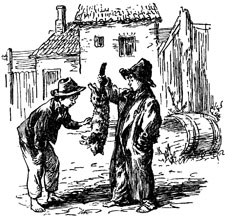 Иллюстрации Г.П. Фитингофа