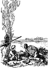 Иллюстрации Г.П. Фитингофа