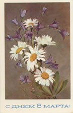 Ромашки. Фотограф И. Дергилев