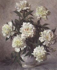 Андрияка С. Пионы