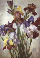 Андрияка С. Ирисы
